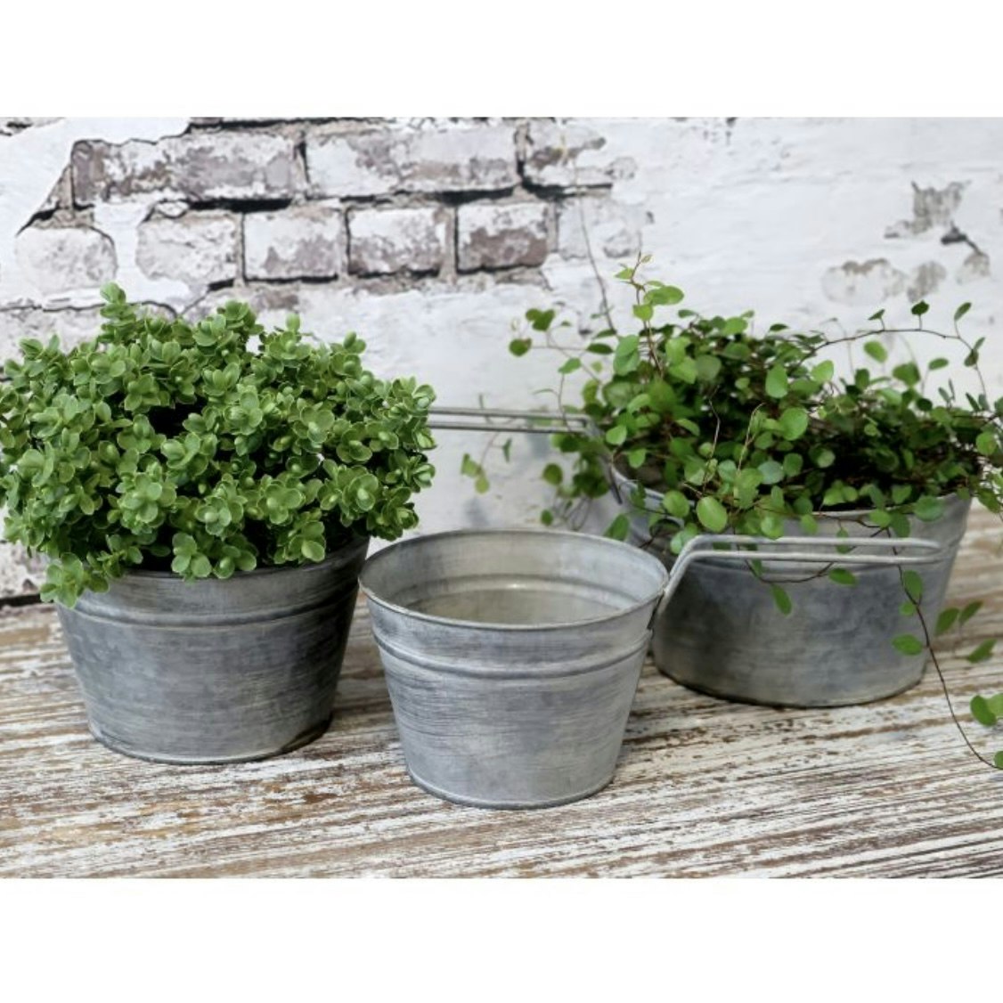 Krukor zink 3pk