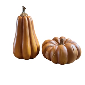 Pumpa Orange 2st