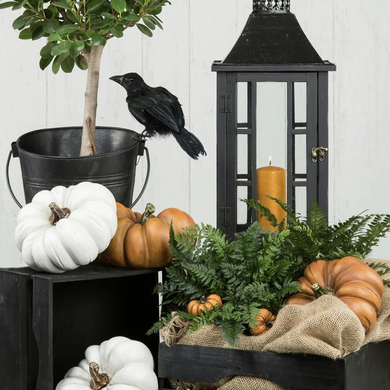 Pumpa Orange 2st