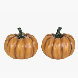 Pumpa Orange