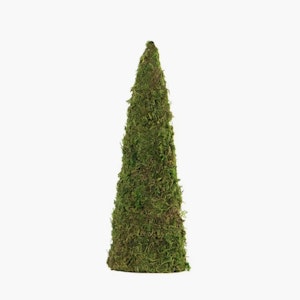 Mosskon Stor