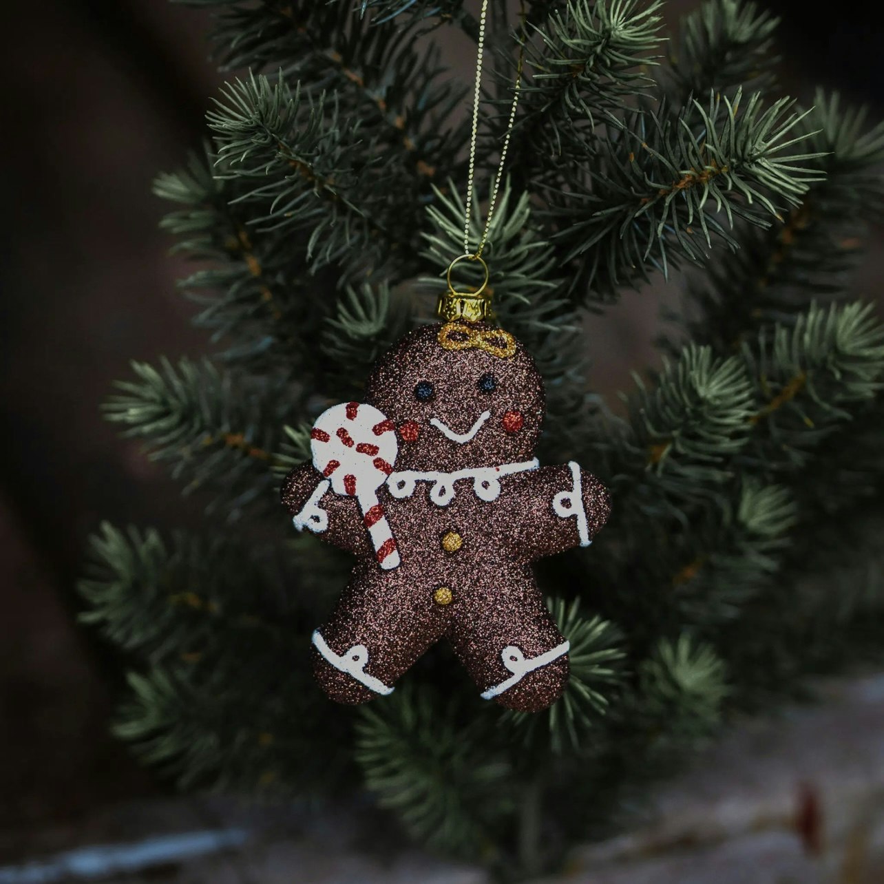 Pepparkaksgumma Hänge