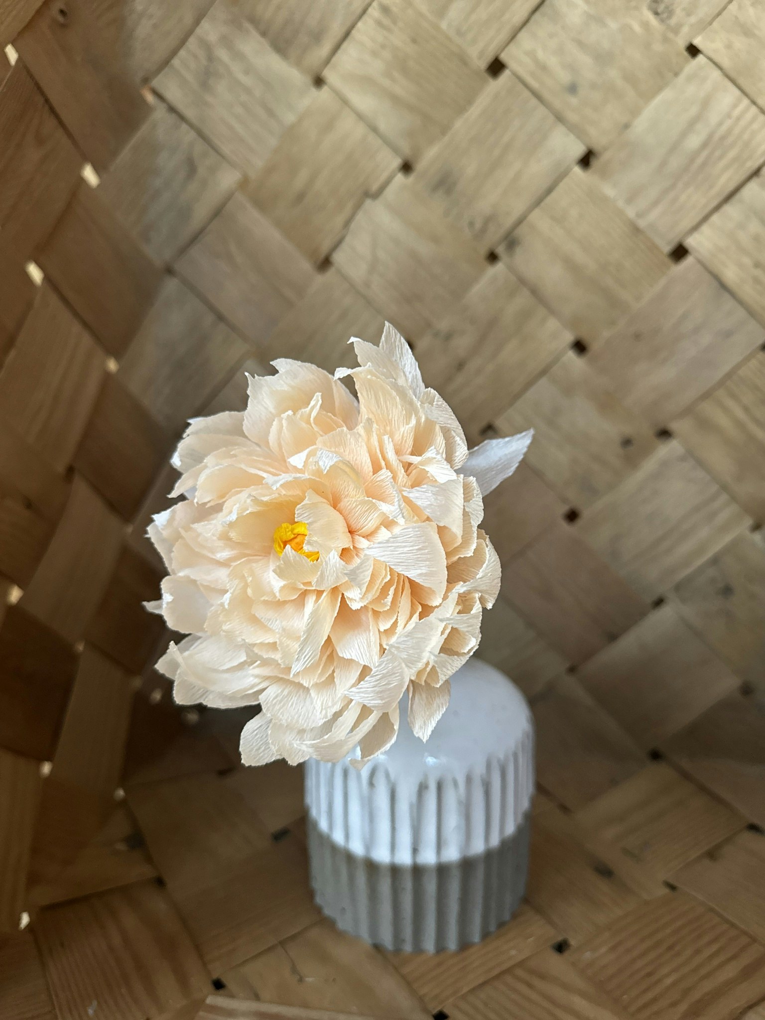 Pion, puderrosa