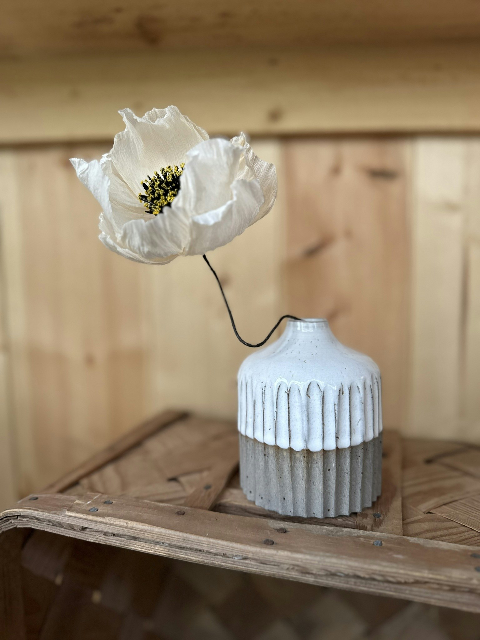 Pion, creme