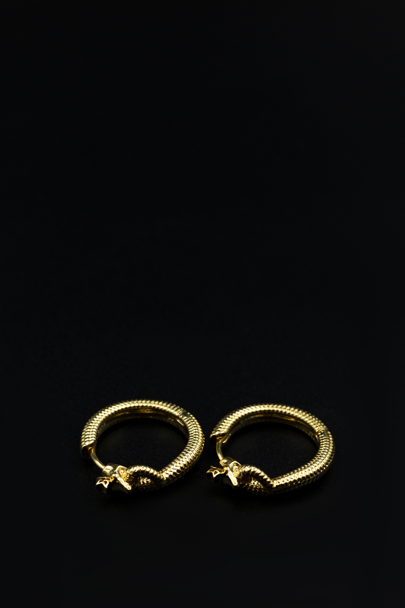 Regal Earrings Gold
