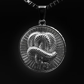 Regal Necklace Silver