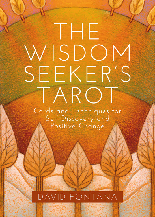 The Wisdom Seeker's Tarot  Cards and Techniques for Self-Discovery and Positive Change by David Fontana