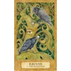 Chrysalis Tarot Deck by Holly Sierra, Toney Brooks