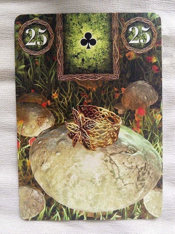 Fairy Lenormand Oracle  av Markus Catz, Tali Goodwin