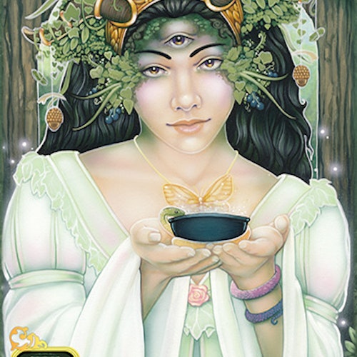 Dreams of Gaia Tarot -  A Tarot for a New Era by Ravynne Phelan