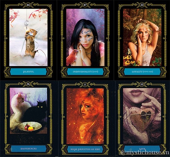 Wisdom of the House of Night Oracle Cards  A 50-card Deck and Guidebook av P C Cast, Collette Baron-Reid