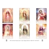 The Divine Feminine Oracle  A 53-Card Deck & Guidebook for Embodying Love by Meggan Watterson