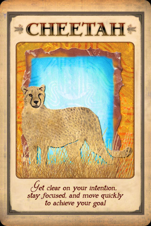 Messages From Your Animal Spirit Guides Cards  av Steven Farmer