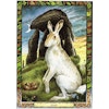 The Druid Animal Oracle Deck by Philip & Stephanie Carr-Gomm Illustrated by Will Worthington