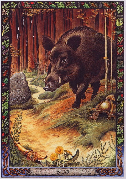 The Druid Animal Oracle Deck by Philip & Stephanie Carr-Gomm Illustrated by Will Worthington