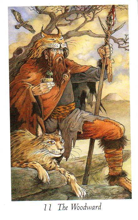 The Wildwood Tarot Wherein Widsom Resides Mark Ryan John Matthews Tarot Store