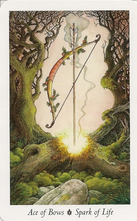 The Wildwood Tarot  Wherein Widsom Resides - Mark Ryan, John Matthews