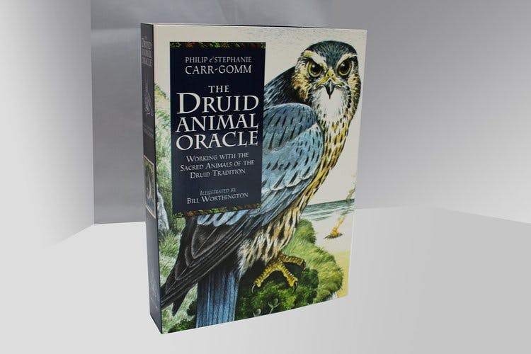 The Druid Animal Book & Card set by Philip & Stephanie Carr-Gomm Illustrated by Will Worthington
