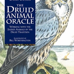 The Druid Animal Book & Card set by Philip & Stephanie Carr-Gomm Illustrated by Will Worthington