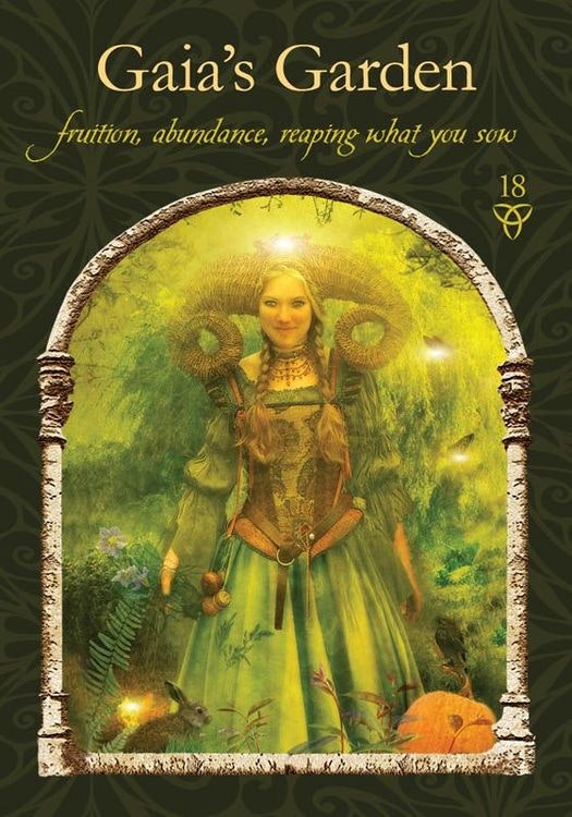 Wisdom of the Hidden Realms Oracle Cards - Colette Baron-Reid