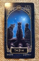 Tarot Familiars by Lisa Parker