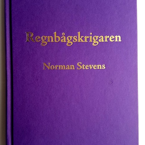 Regnbågskrigaren av Norman Stevens