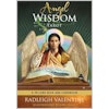 Angel wisdom tarot: a 78-card deck and guidebook