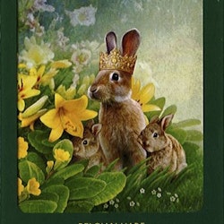 Animal Tarot Cards  A 78-Card Deck and Guidebook av Doreen Virtue, Radleigh Valentine