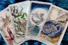 The Celtic Dragon Tarot Kit (With 78 - Cards)  av D. J. Conway, Lisa Hunt