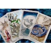 The Celtic Dragon Tarot Kit (With 78 - Cards)  av D. J. Conway, Lisa Hunt