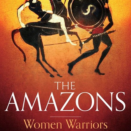 A Brief History of the Amazons: Women Warriors in Myth and History by Lyn Webster Wilde