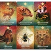 The Spirit Animal Oracle: A 68-Card Deck and Guidebook by Colette Baron Reid