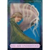 Indigo Angel Oracle Cards av Doreen Virtue