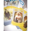 Mary Queen of Angels oracle Cards by Doreen Virtue