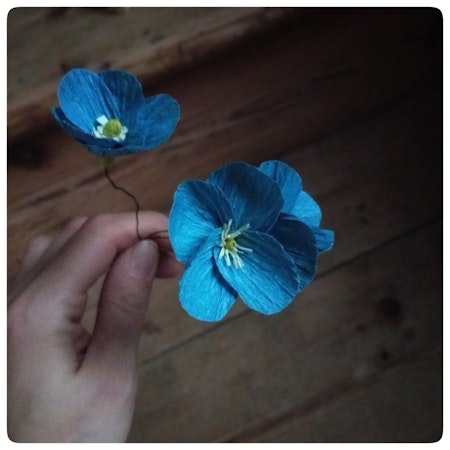 Blåsippa av papper
