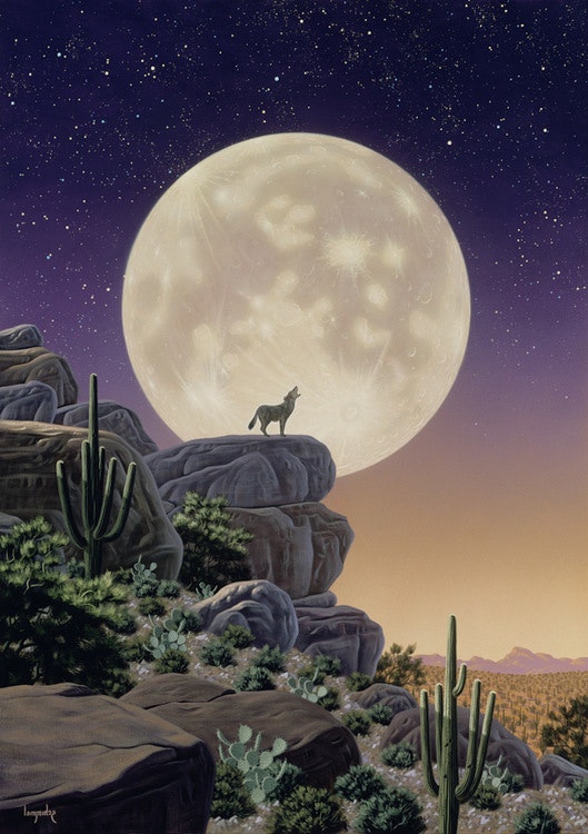 Lisensiert bilde Schim Schimmel, Desert Moon Song