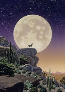 Lisensiert bilde Schim Schimmel, Desert Moon Song