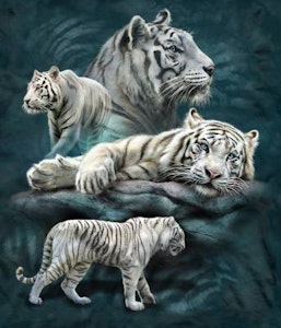 Tami Alba Patrotic White Tiger Collage lisensiert bilde