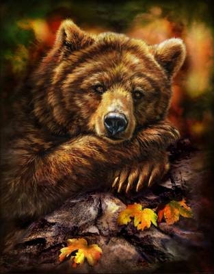 Tami Alba Grizzly Autumn Lisensiert bilde
