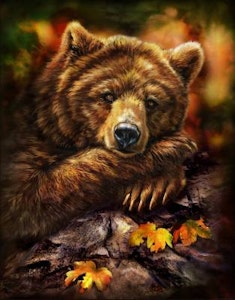 Tami Alba Grizzly Autumn Lisensiert bilde
