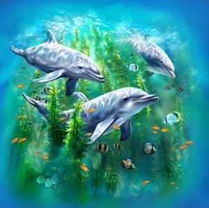 Lisensiert bilde Tami Alba Dolphin Kelp Bed