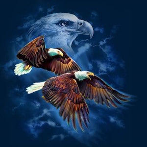 Tami Alba Eagle Spirit Lisensiert bilde