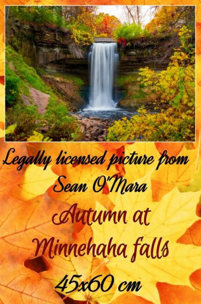 Natur Autumn at minnehaha falls ©Sean O`Mara