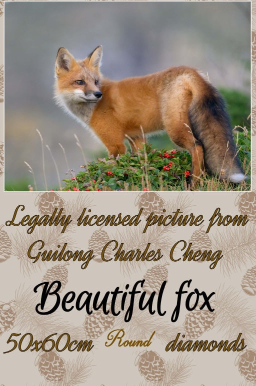 Rev Beautiful fox ©Guilong Charles Cheng