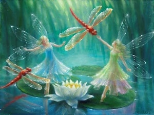 Feer Dragonflies ©Lynne Bellchamber