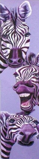 Zebra selfi