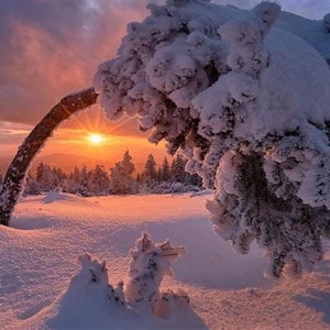 Solnedgang i snø