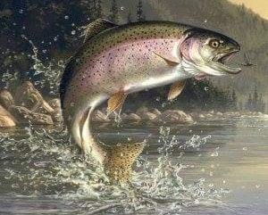 Fiskehopp