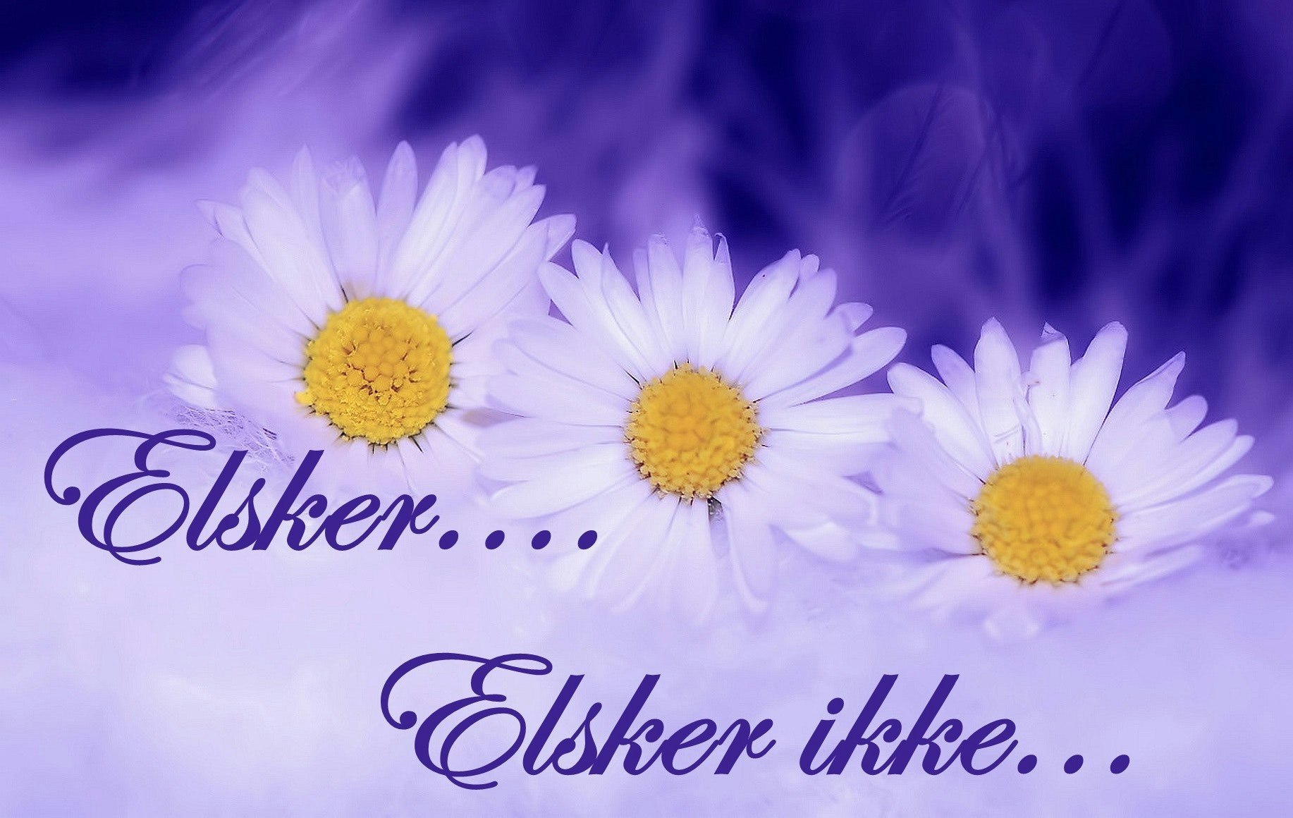 Elsker...elsker ikke