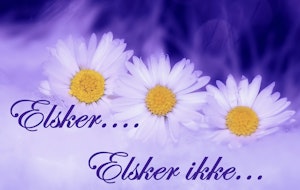 Elsker...elsker ikke